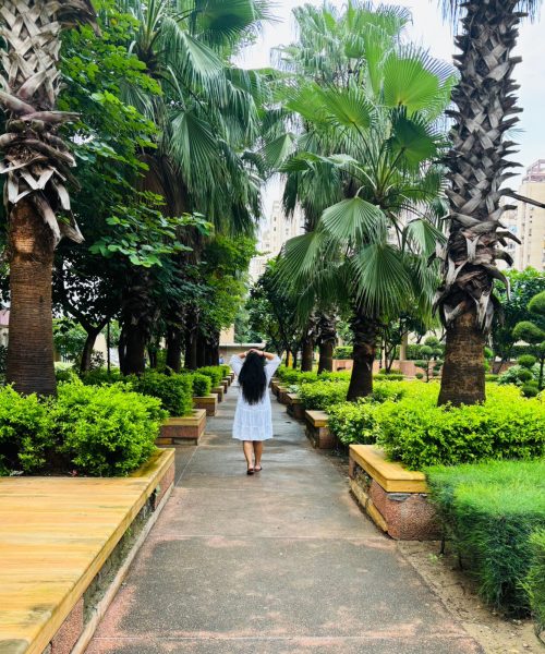A lush green walkway lined with towering palms offers a refreshing escape into nature. Perfect for peaceful strolls, it’s a serene space to relax, rejuvenate, and soak in the beauty of the outdoors.